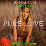 cover: Fatcat Slim - Pure Love