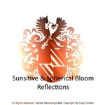 cover: Spherical Bloom|Sunsitive - Reflections