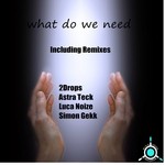 cover: 2drops - What Do We Need