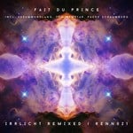 cover: Fait Du Prince - Irrlicht Remixed