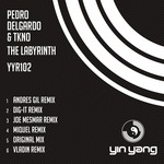 cover: Tkno|Delgardo, Pedro - The Labyrinth (remixes)