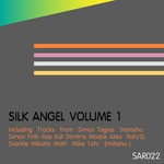 cover: Various - Silk Angel Vol 1