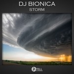 cover: Dj Bionica - Storm