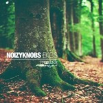 cover: Noizyknobs - Ekos