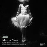 cover: Marvin Aloys - Little Hide Darkside