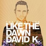 cover: The Oh Hellos - Like The Dawn (David K. Radio Mix)