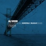 cover: Ali Wood - Detroit Bridge