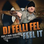 cover: Dj Felli Fel|Flo Rida|Pitbull|Sean Paul|T Pain - Feel It