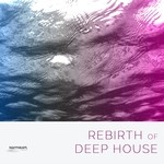 cover: Various - Rebirth Of Deep House Vol 1