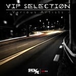 cover: Various - VIP Selection