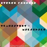 cover: Transitbot - Stereophonics