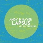 cover: Andy B Meyer - Lapsus