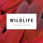 cover: Various - Wildlife (Unique Music Selection Vol 6)