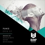 cover: Pumio - Open