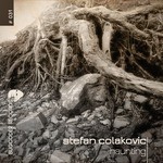 cover: Stefan Colakovic - Haunting