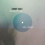 cover: Conny Wolf - Feeling For You