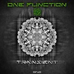 cover: One Function - Transient