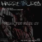 cover: Harrisburg - What You Need EP