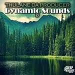 cover: Thulane Da Producer - Dynamic Sounds