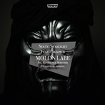 cover: Lokkpick|Static Starlight - Molon Labe