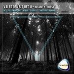 cover: Den Bit, Valer|Red'u - Insanity Forest