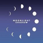 cover: Maggie|Reilly - Moonlight Shadow (remix)