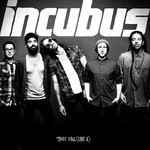 cover: Incubus - Trust Fall (Side A)