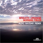 cover: Breathe Orange - Morning Fields