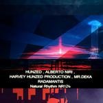 cover: Harvey Hunzed Productions|Hunzed - Radamantis