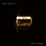 cover: Dean Pokorny - Edge Of Life