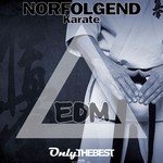 cover: Norfolgend - Karate (EDM)