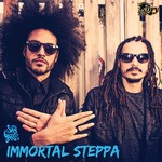 cover: Sky Grass - Immortal Steppa