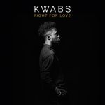 cover: Kwabs - Fight For Love