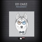 cover: Ed Zaez - Amusement