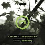 cover: Kantyze - Underwood EP