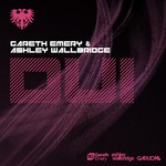 cover: Gareth Emery & Ashley Wallbridge - DUI