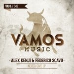 cover: Alex Kenji|Feferico Scavo - Never Give Up