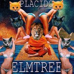 cover: Placido Elmtree - Triangles