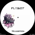 cover: Fly307 - Transition