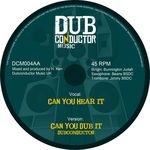 cover: Dub Conductor - Can You Hear It/Leave All Tings