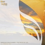 cover: Abide|Miroslav Vrlik - The Pieces Of Life