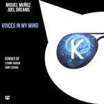 cover: Joel Dreams|Munoz, Miguel - Voices In My Mind