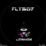 cover: Fly307 - Cosmos