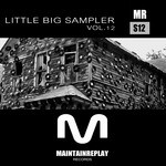 cover: Digital Sound System|Glasshouse|Immense|Matke - Little Big Sampler Vol  12