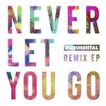 cover: Rudimental - Never Let You Go (Remixes)