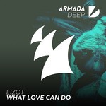 cover: Lizot - What Love Can Do