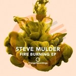 cover: Steve Mulder - Fire Burning