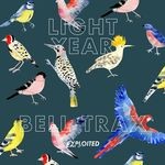 cover: Light Year - Bell Trax