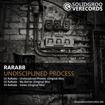 cover: Rarabb - Undisciplined Process