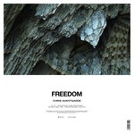 cover: Chris Avantgarde - Freedom